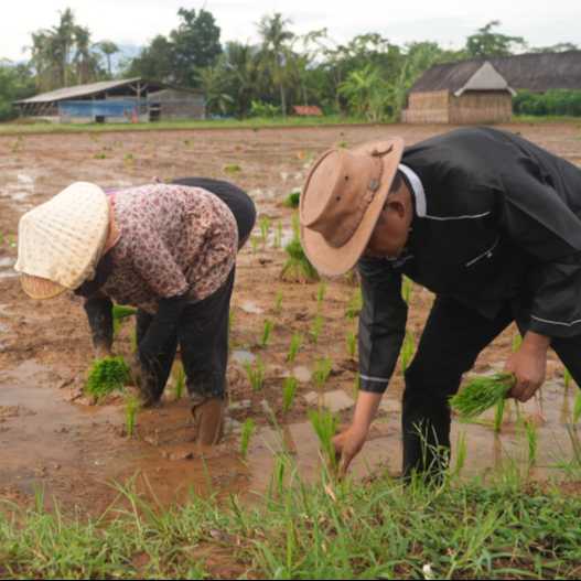 IMGDonec metus orci, malesuada et lectus vitae